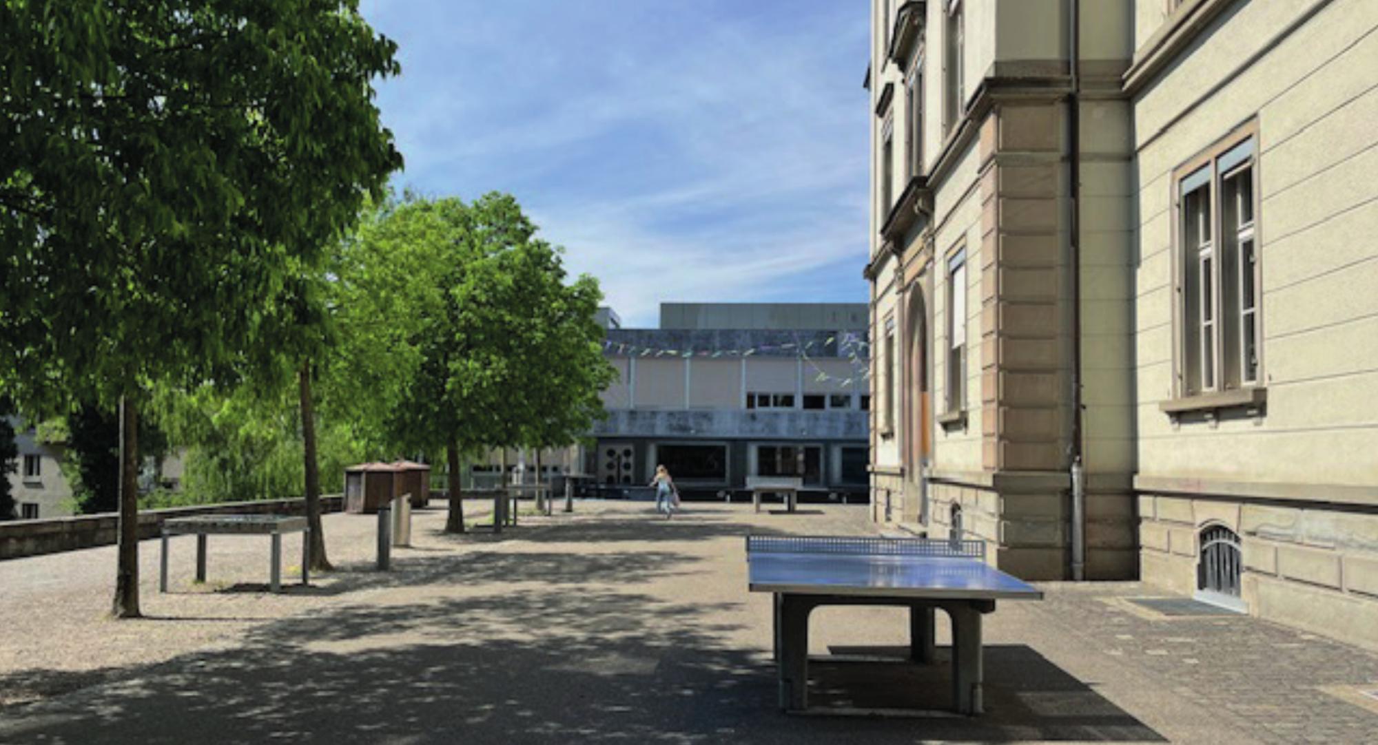 Rahmenvertrag Hitzeminderung und Stadtbäume