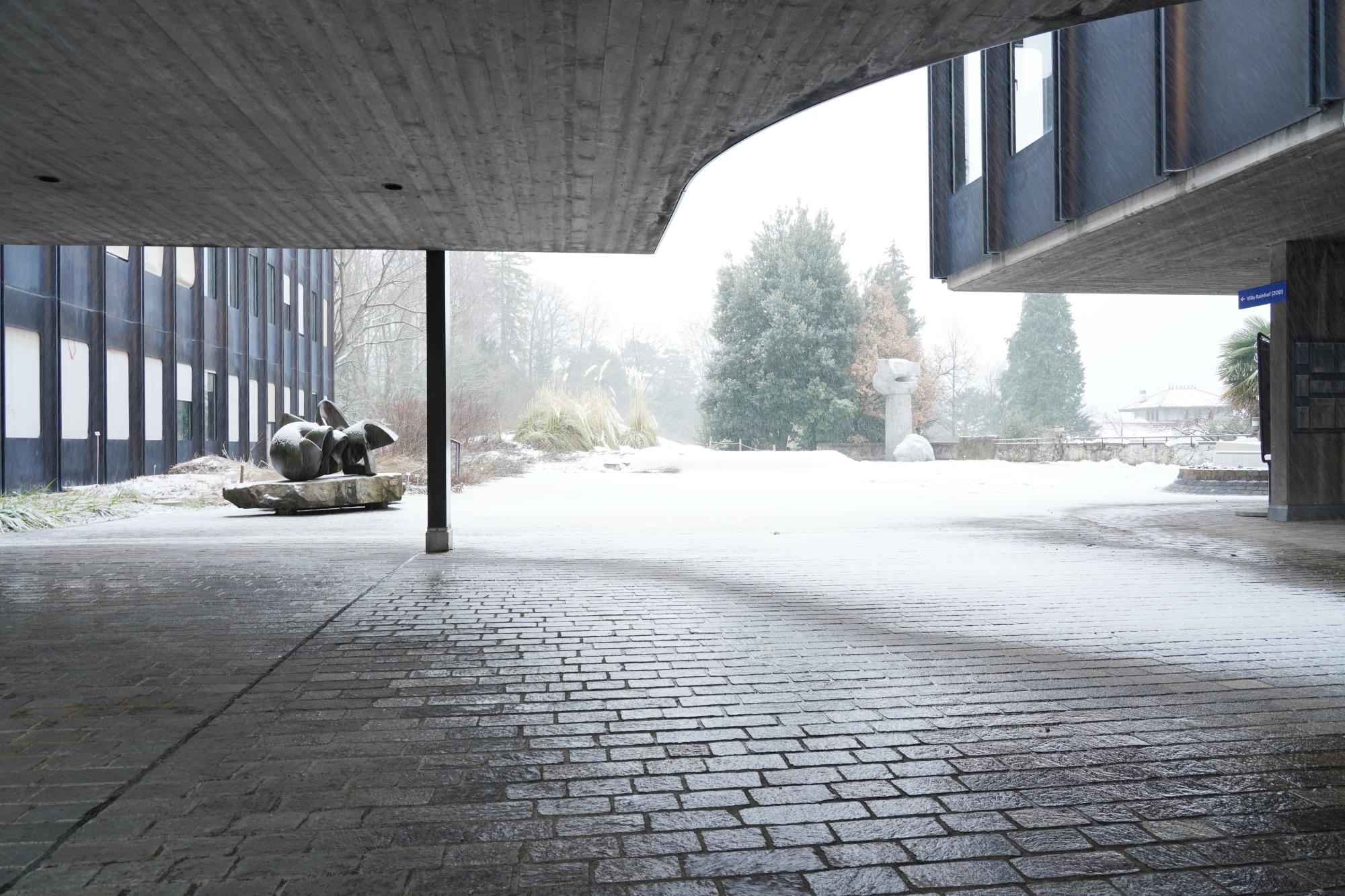 Universität Zürich Botanischer Garten Stabilisierende Massnahmen II