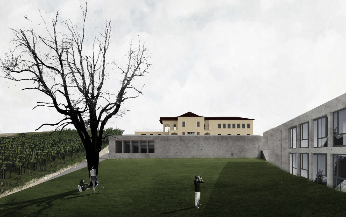 IAC Mezzana concorso di architettura Villa Cristina e Cantina vini - 1a Fase procedura di selezione